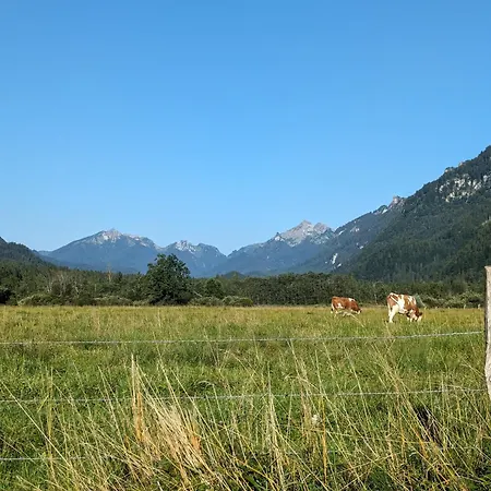 Zur Alten Schmiede *